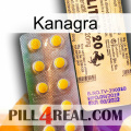 Kanagra new06